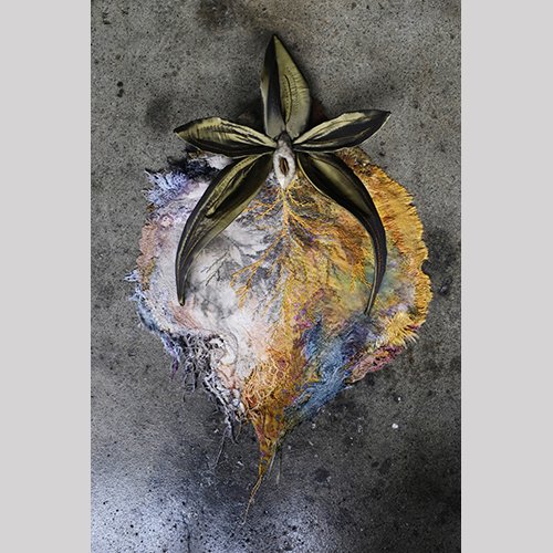 Orchidelirium and other obsessions